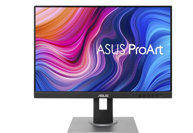 ASUS ProArt Display PA248QV Professional Monitor