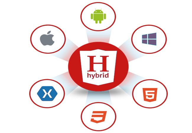 Mobile Apps