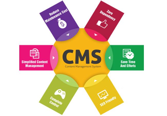 Wordpress Websites
